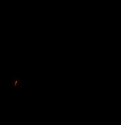 Animated Logo